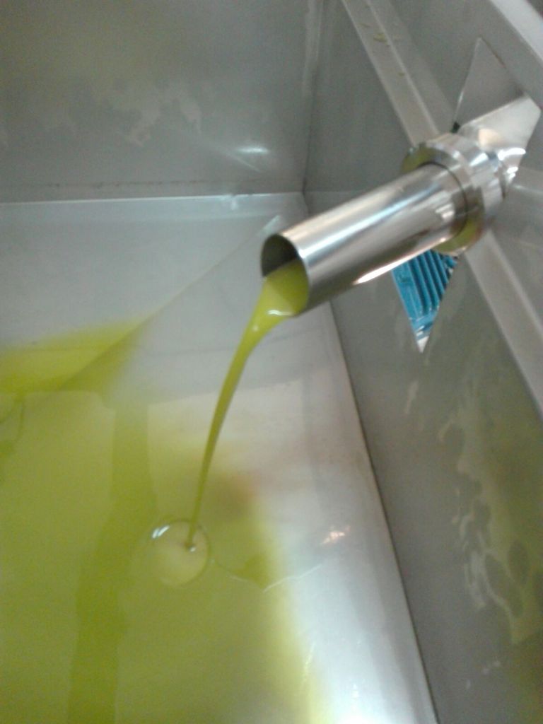 Olio extra vergine di oliva appena molito