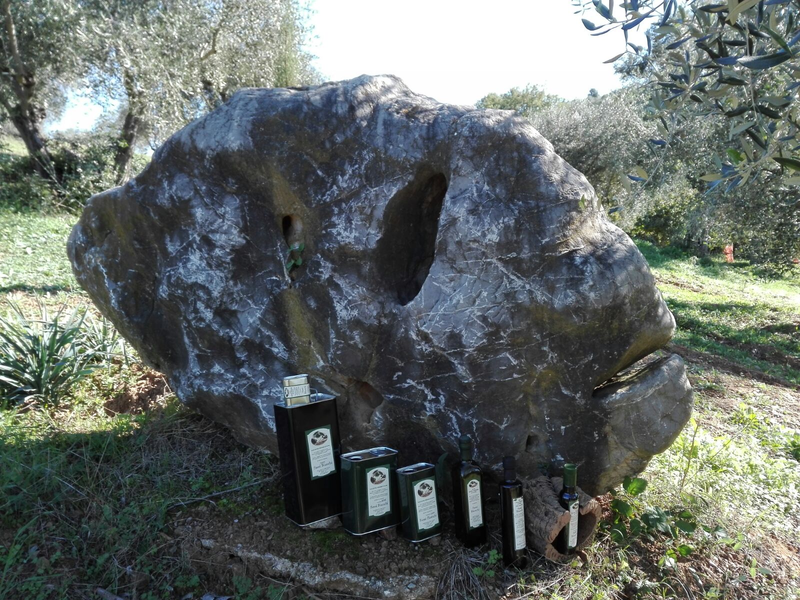 Campionario di bottiglie e lattine di olio extravergine d'oliva toscano