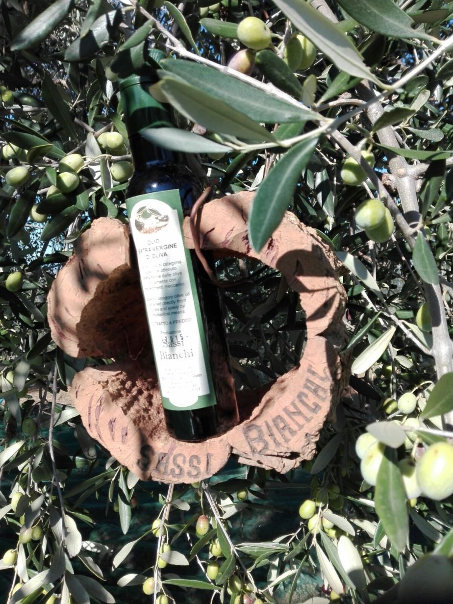 Bottiglia di Olio EVO Toscano Sassi Bianchi