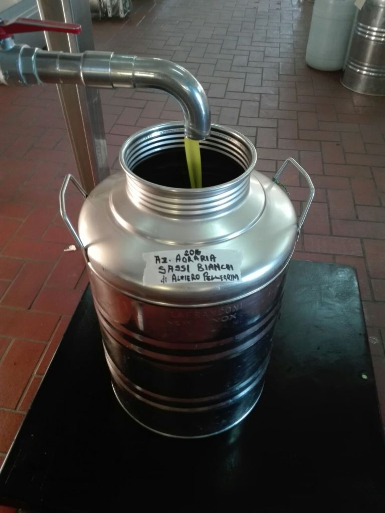 Olio EVO TOSCANO Sassi Bianchi